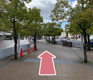 道路沿いの道に出て、左に真っ直ぐ進みます。